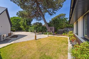 Front Garden- click for photo gallery